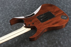 JEM77WDP wood back guitar-rigs